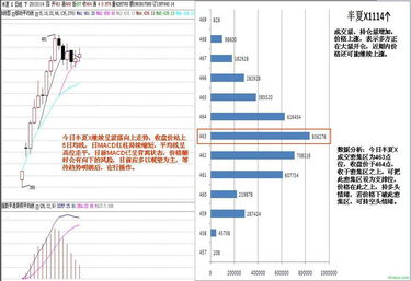 半夏的市場(chǎng)流通與貿(mào)易經(jīng)紀(jì)角色解析